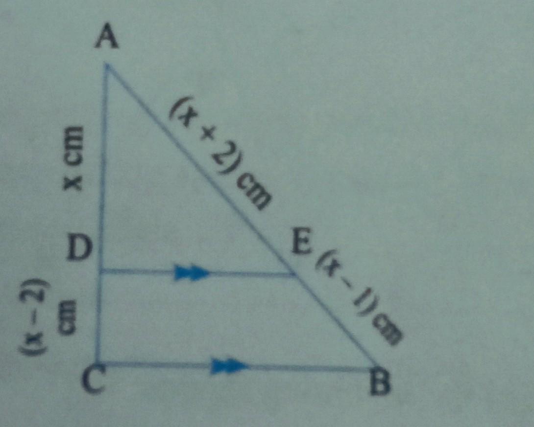 help plssssssssss i want it fast