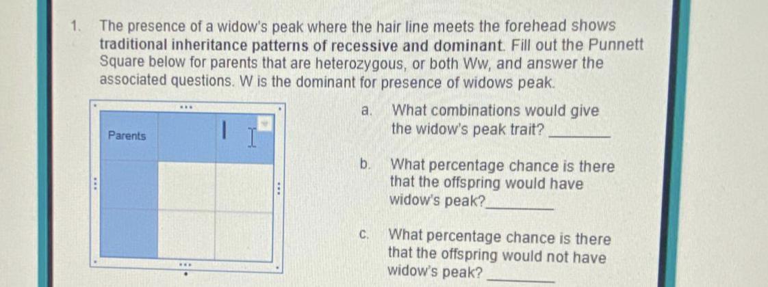 PLEASE HELP ME W PUNNET SQUARES! Id Really Appreciate It If Somebody Explained It To Me