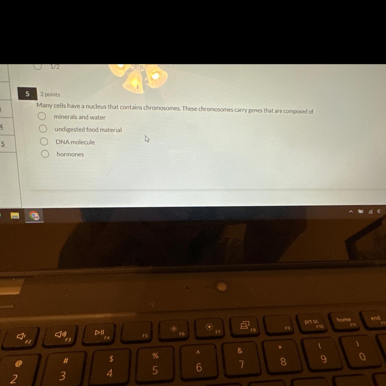 Pla help help science 