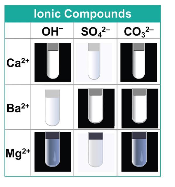 How Were The Compounds That Formed When Calcium Ion Solution Was Mixed With The Anion Solutions Different
