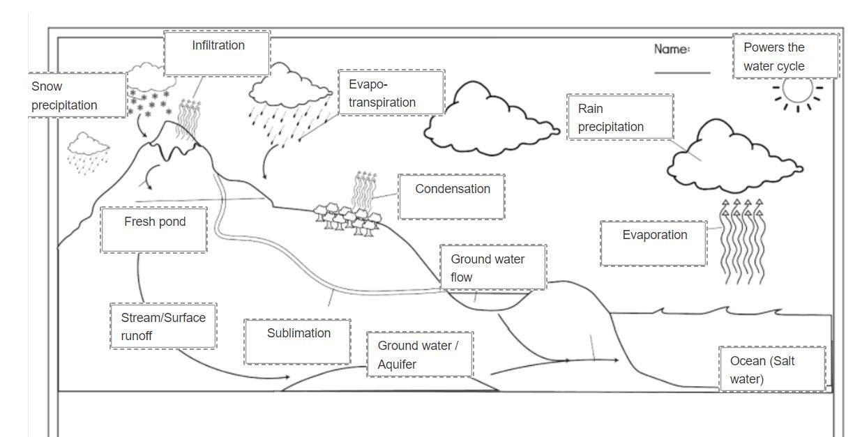 Water Cycle Check Please