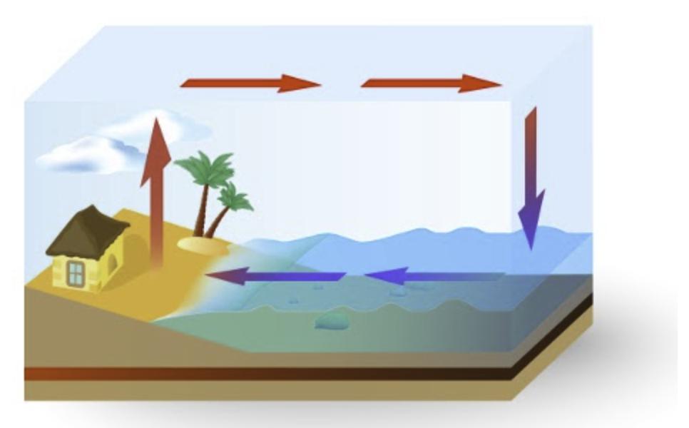 Which statement best describes the image? A)Ocean temperatures are relatively stable. During the day,