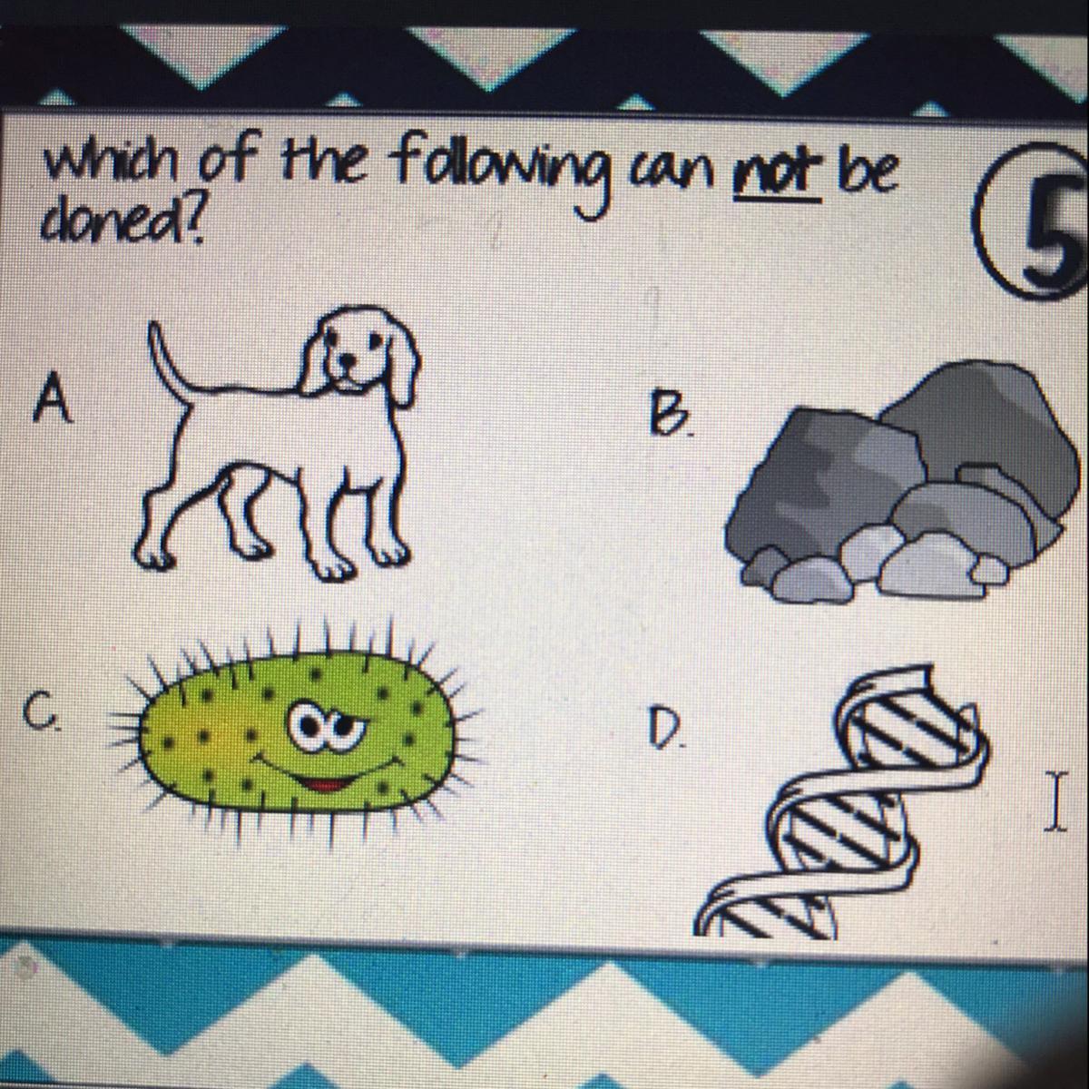 I Please Help Answer &lt;3