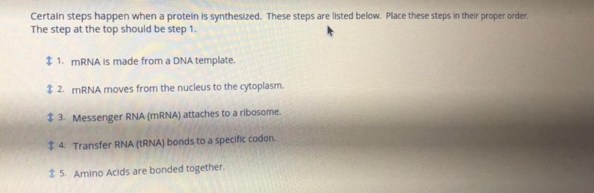 I Need Help With Ordering These Steps 