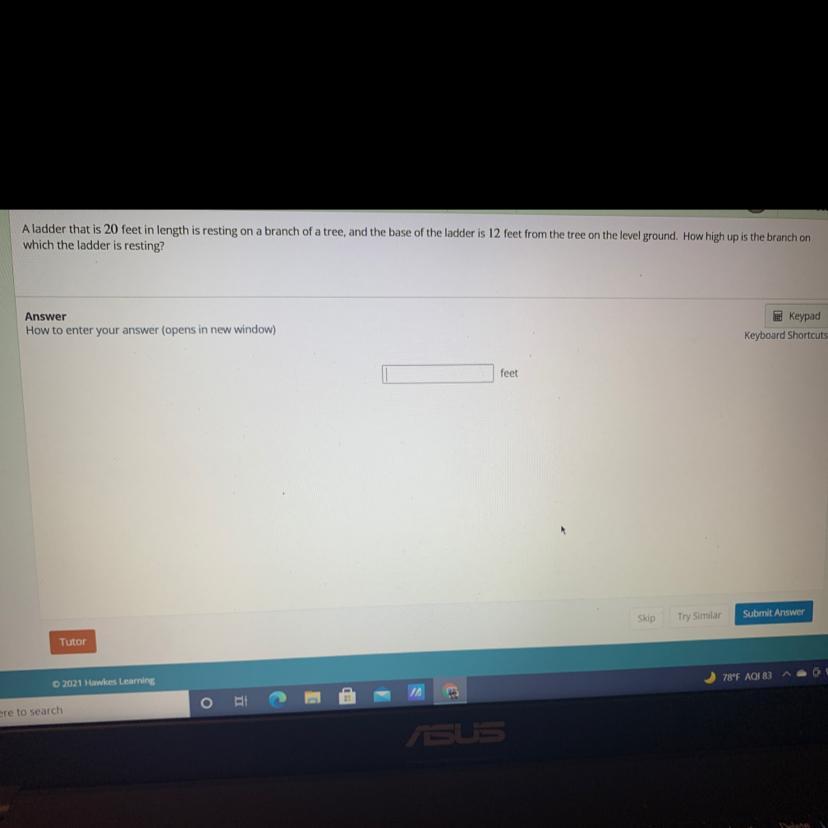 How high up is the branch on which the ladder is resting?