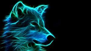 cool wolf pics part 1