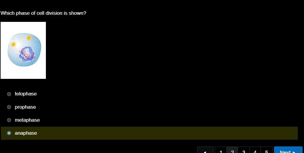 HELP SOME ONE TELL ME THE ANSWER PLEASE