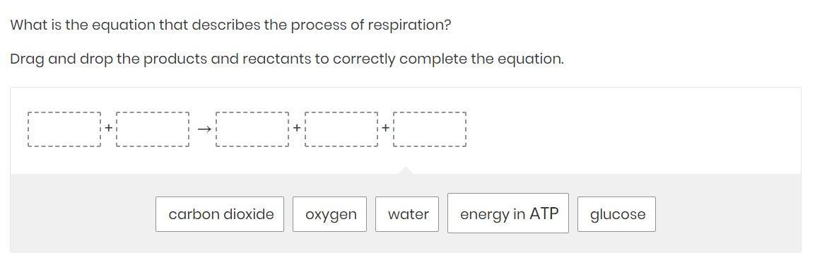 What is the equation that describes the process of respiration?Drag and drop the products and reactants