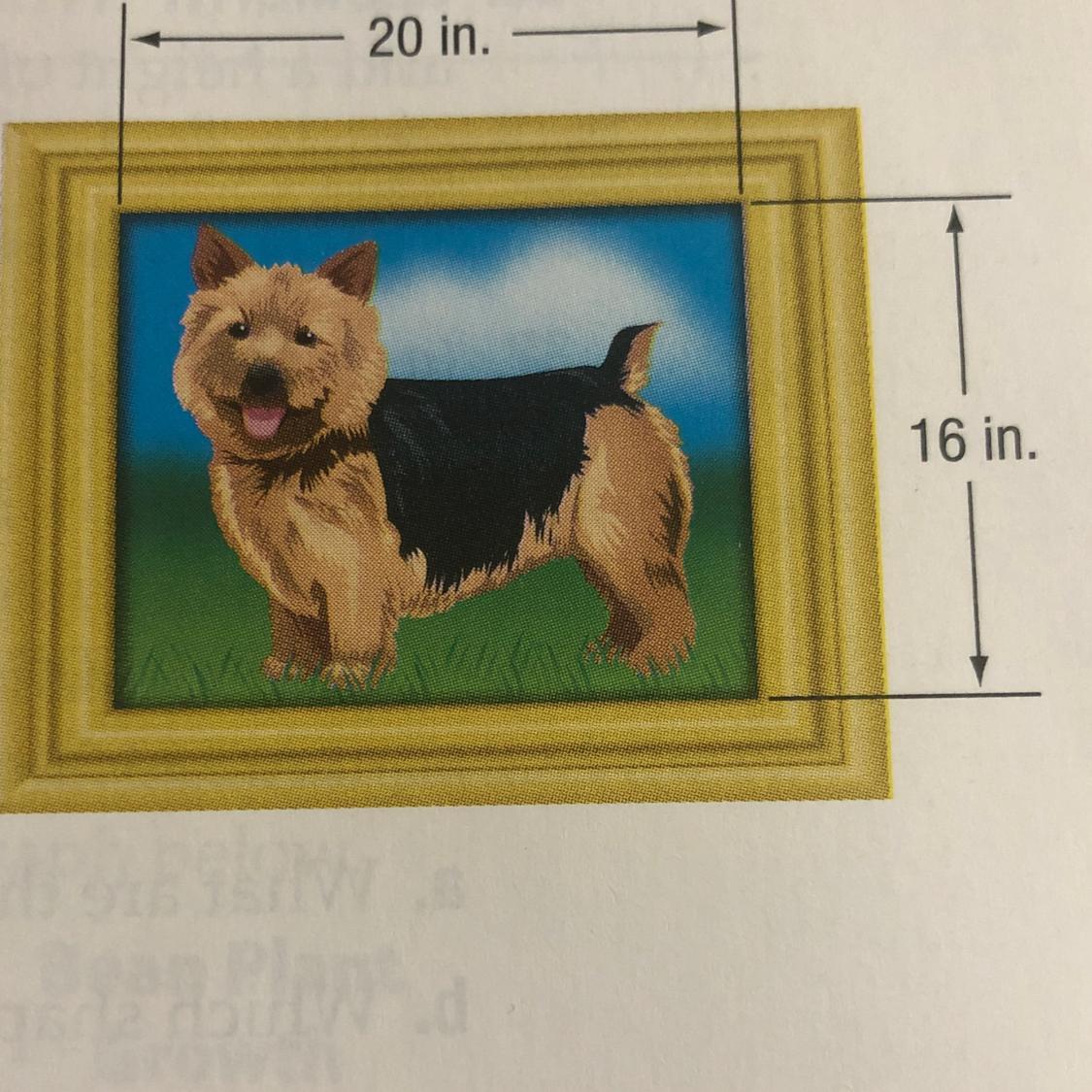 A- FRAME Hugo Is Designing A Frame As Shown At The Right.The Frame Has A Width Of X Inches All The Way