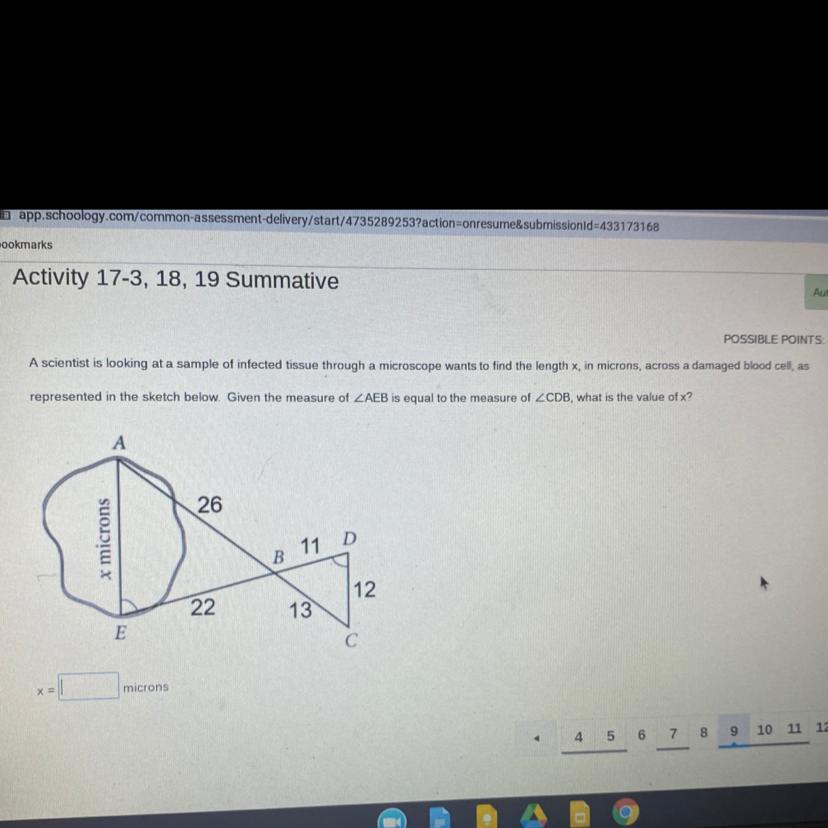 What Would The Numbers Of Microns Be For This Question? 