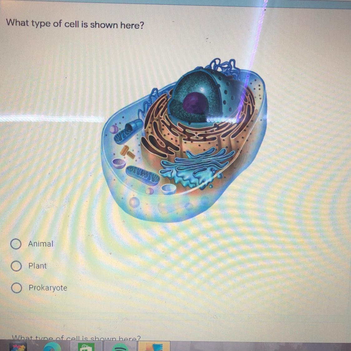 Please Help Me With This Question:) 