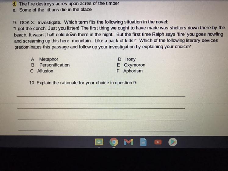 i hope yall can read that anyways its for my lotf final pls help bro 