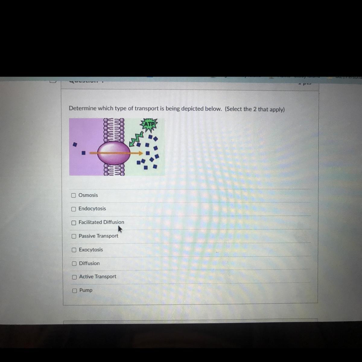 Determine which type of transport is being depicted below