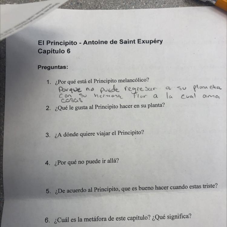 Que le gusta al principito hacer a su planta 