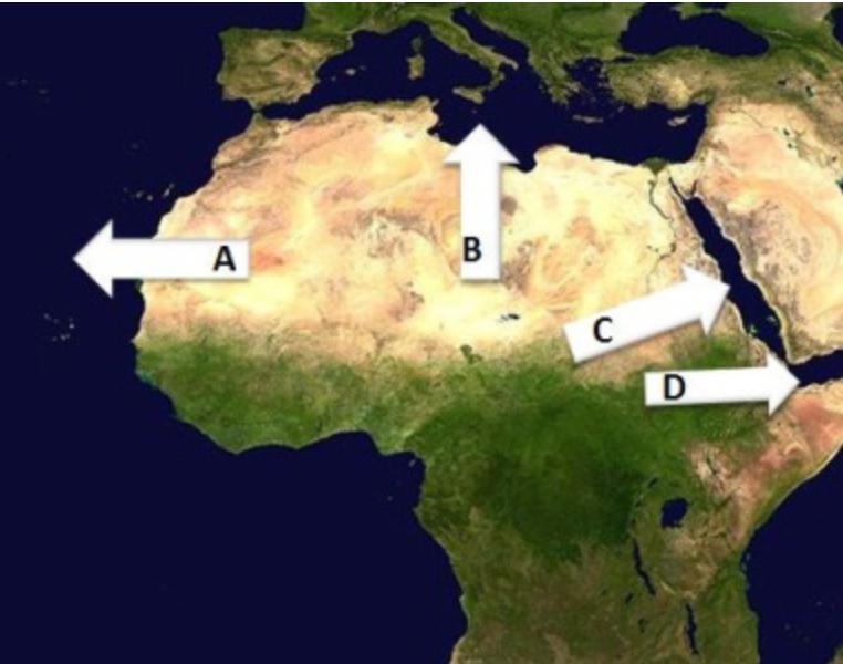 **Picture 1 answer choices Picture 2 map**On the map above, which arrow is pointing to the Mediterranean