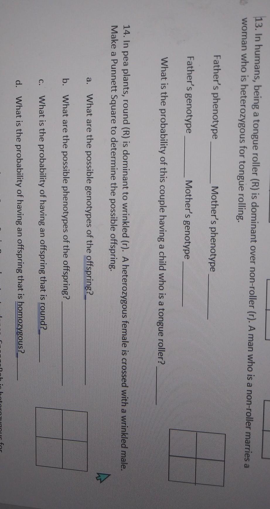 HELLO I NEED HELP.. ITS DUE IN COUPLE OF HOURS.... ITS CALLED "Punnet Square Practice" IF SOME OF U ALREADY