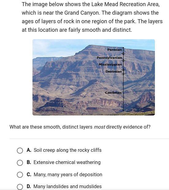 I need help!!!!!!!!!!!!!!!!