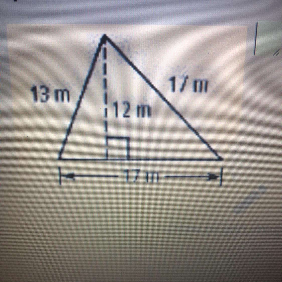 Please help me it would mean the world. Extra points!The answer is 102m^2 provided by my teacher I just