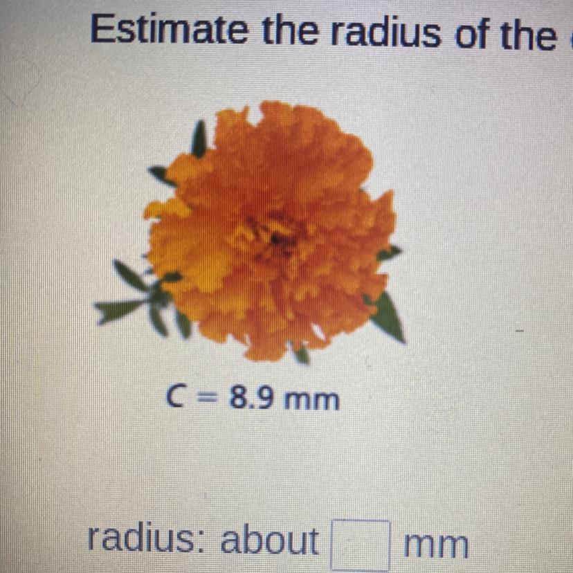 Estimate the radius of the object. Round to the nearest hundredth if necessary. (Dont guess please).