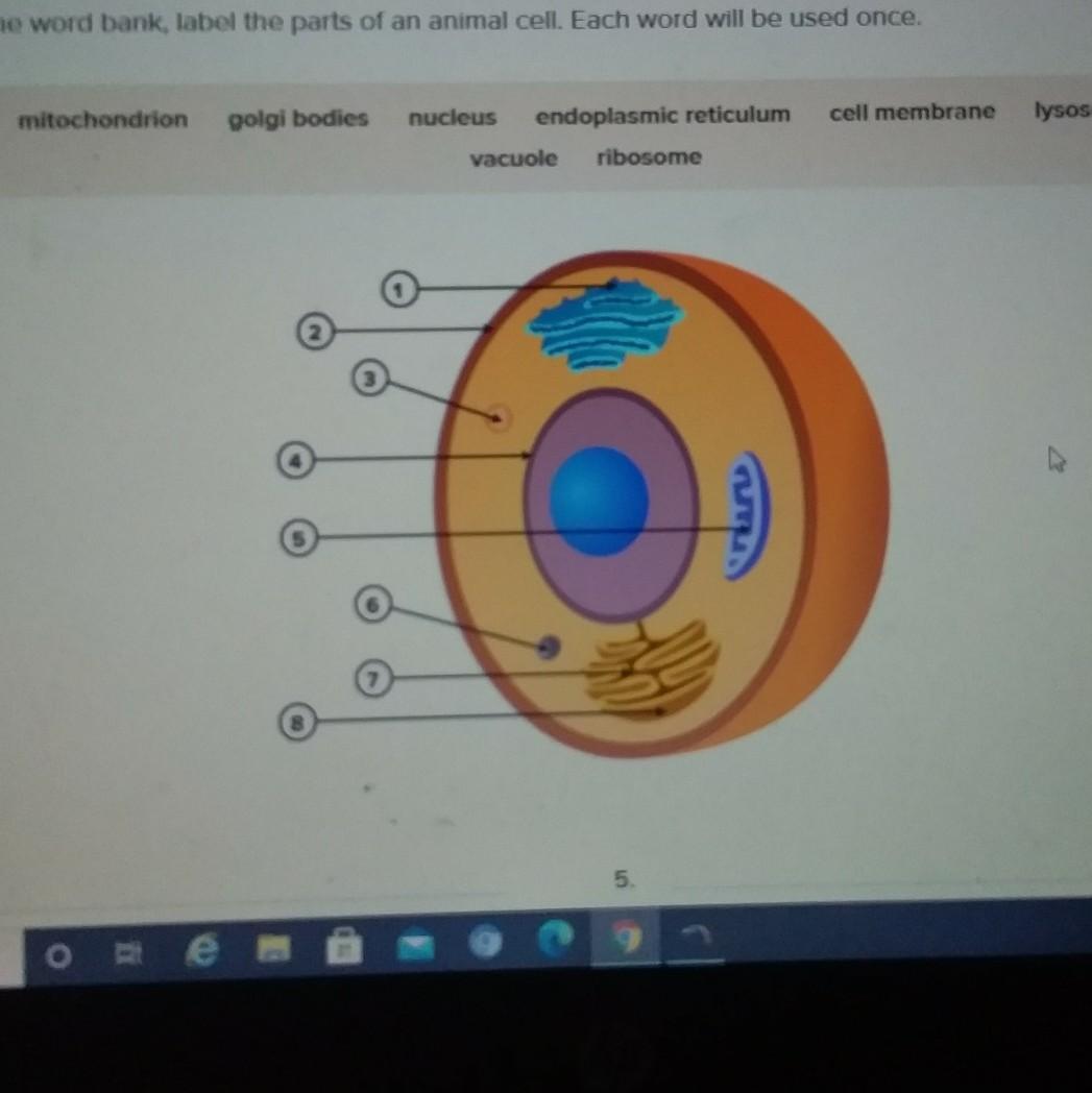 Plz Plz help me with this its due today so plz help out!!!