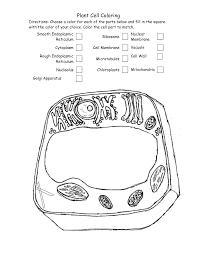Can someone help me label this pic wit the list below(this is a plant cell)? I will be giving brainliest.